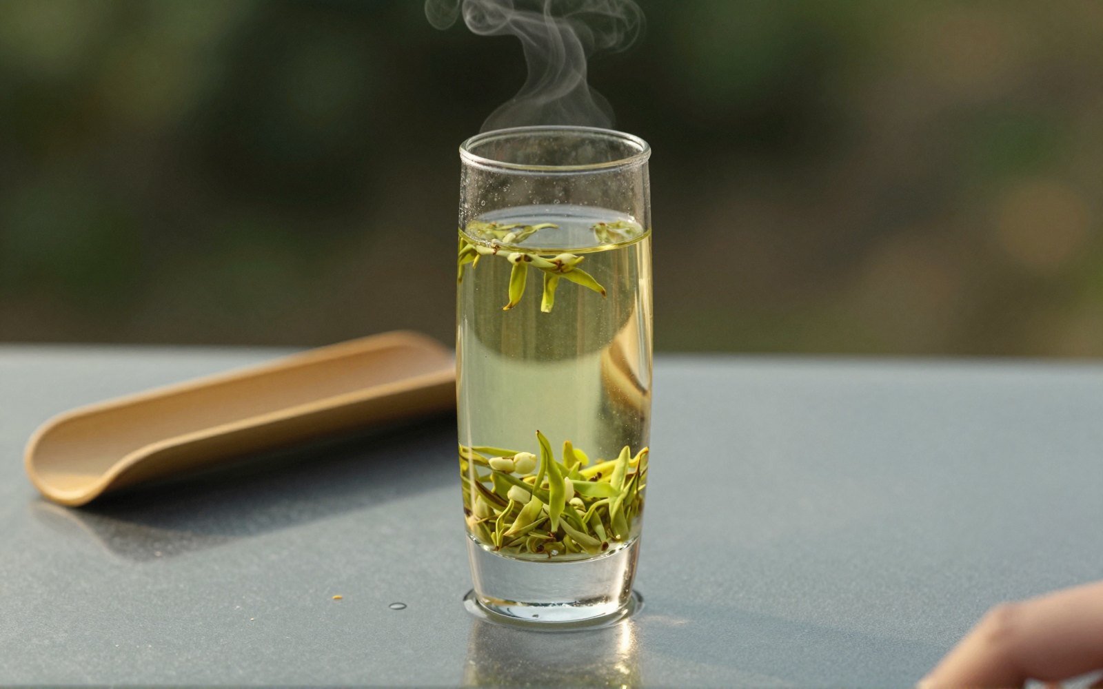 Jasmine Maofeng Green Tea