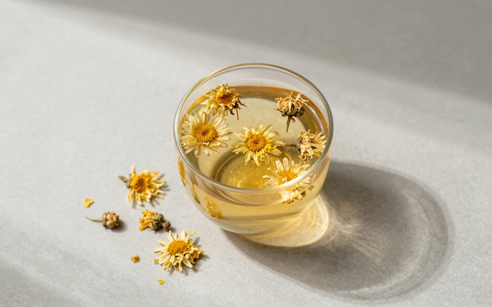 Chrysanthemum Tea