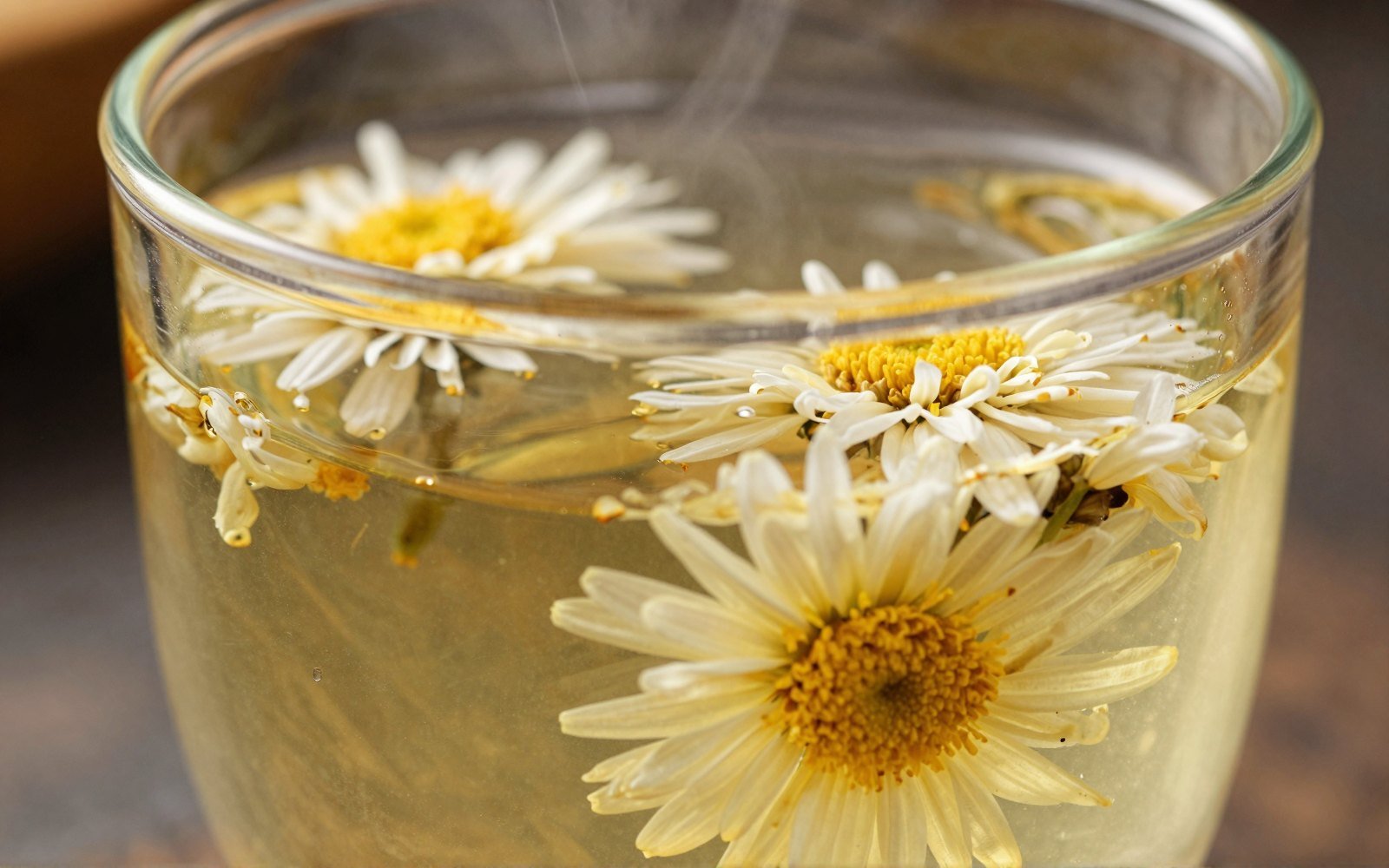 Chrysanthemum Tea