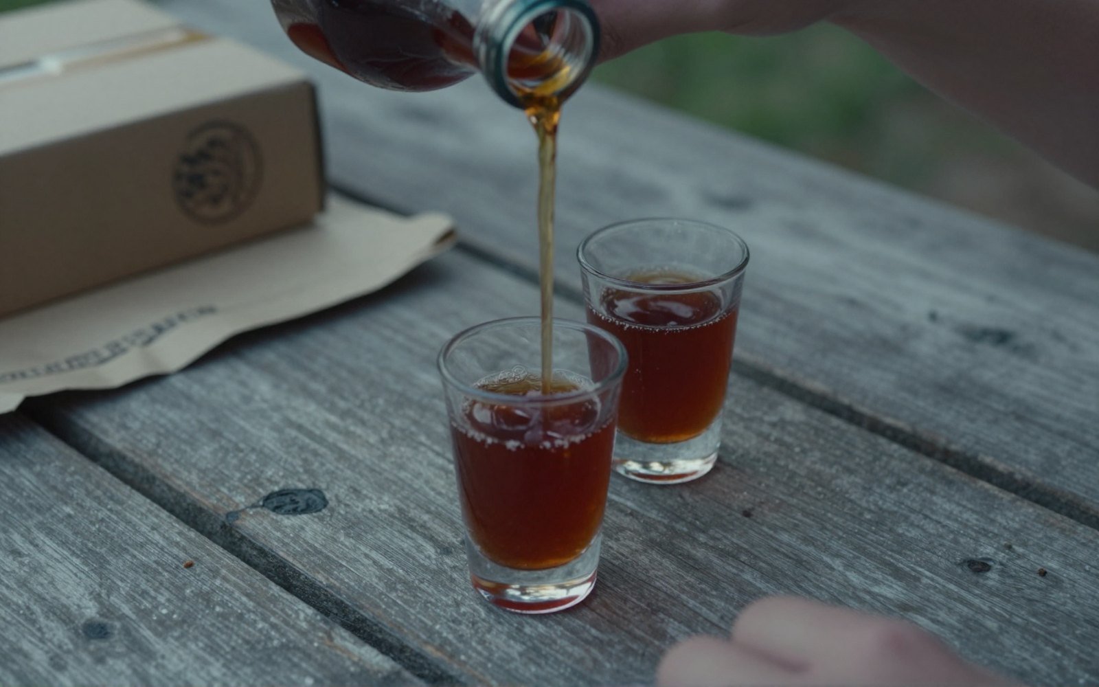 Pineapple Cinnamon Tepache