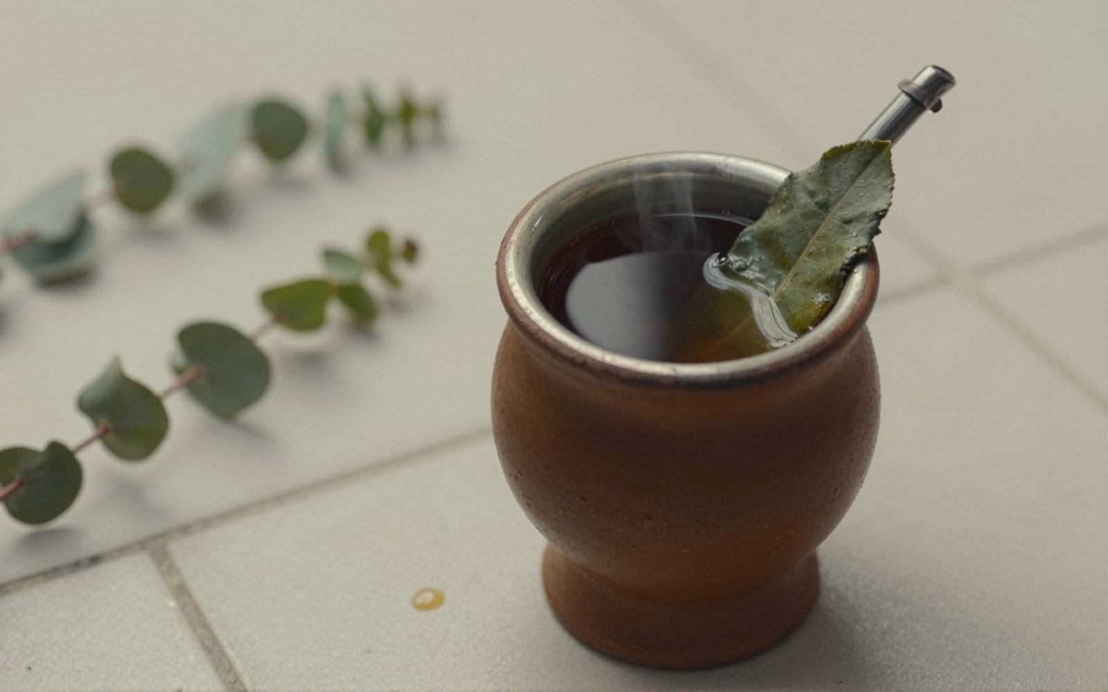 Argentine Traditional Yerba Maté