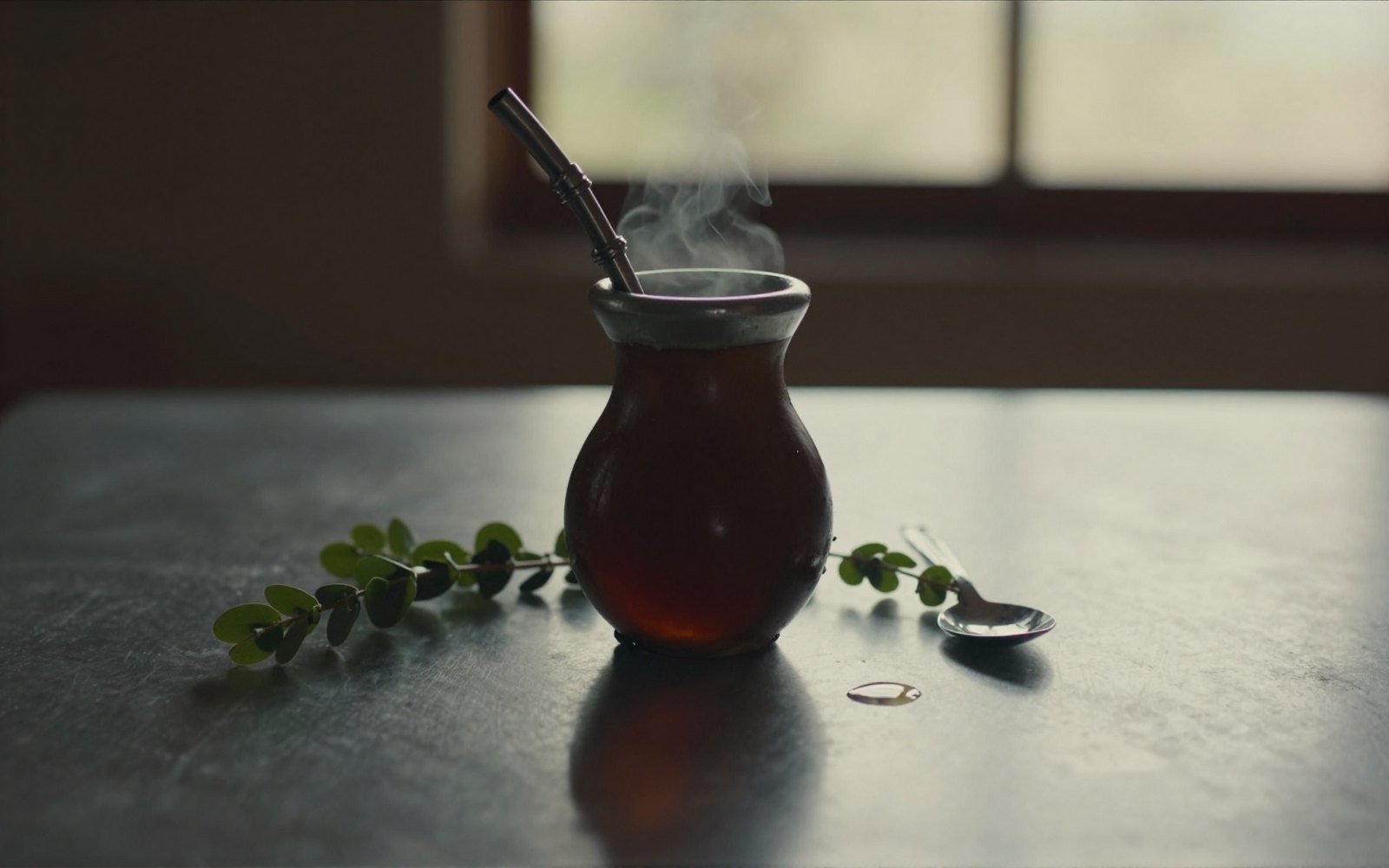 Argentine Traditional Yerba Maté