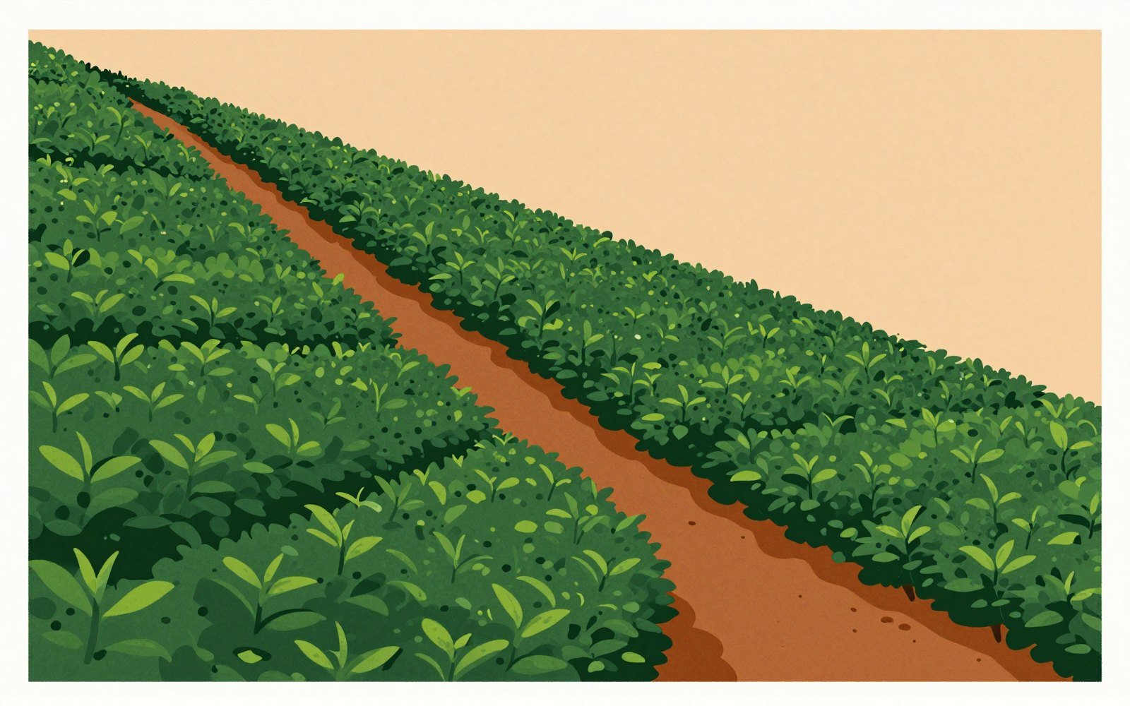 Ceylon Tea Elevations: Low, Mid, and High-Grown Styles