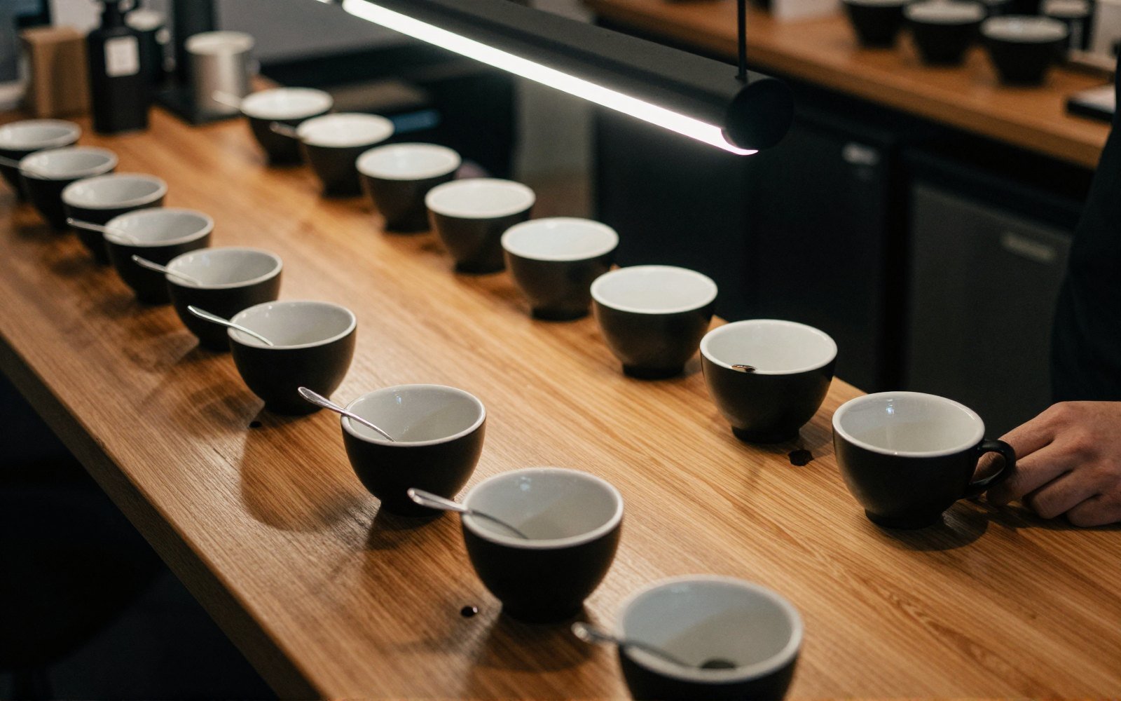 Cupping bowls in a line, spoons resting, nobody talking yet.